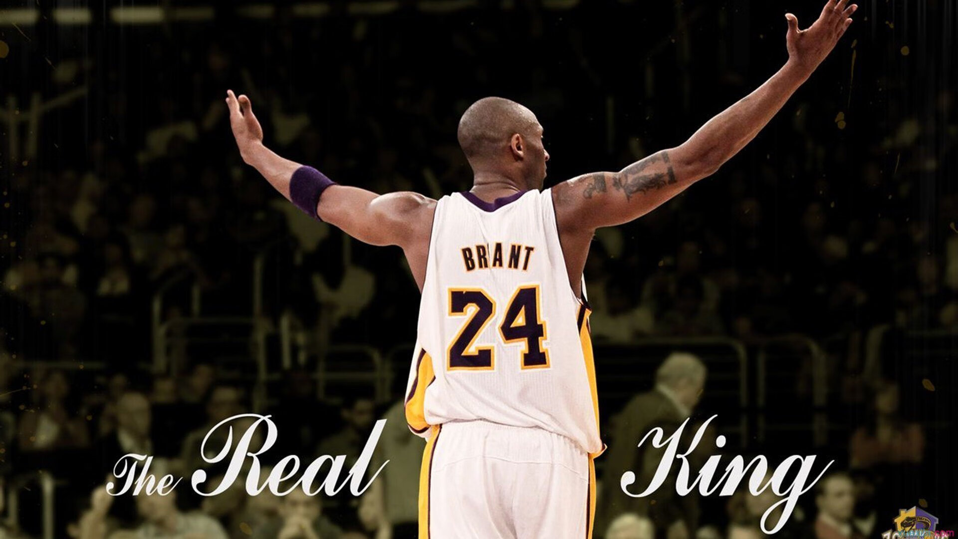 _破纪录时刻：运动员创下个人或赛事新高_，运动员世界纪录