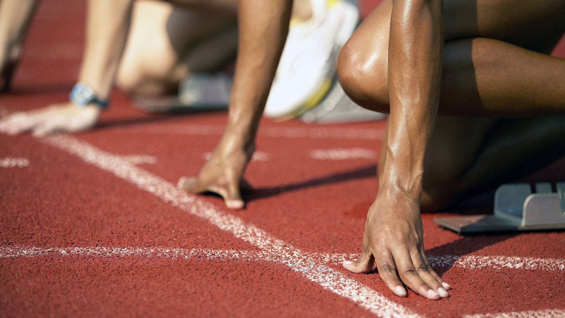 荷兰马术协会与澳大利亚马术协会签署人才交流协议，促进双向发展。